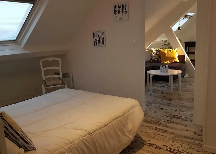 H Royal Climatisé Wifi Appartement *